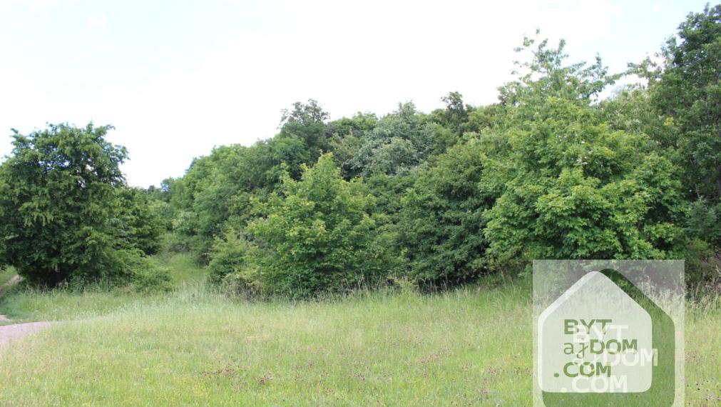 Predaj lesa - Kučišfdorská dolina