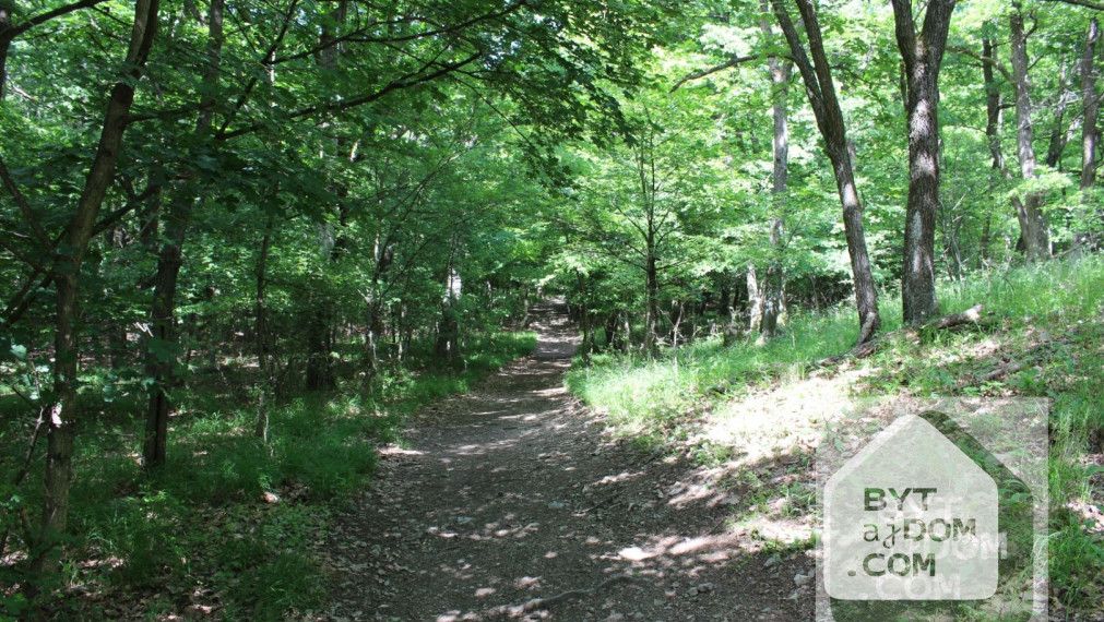 Predaj lesa - Kučišfdorská dolina