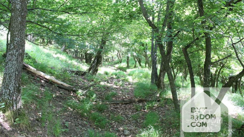 Predaj lesa - Kučišfdorská dolina