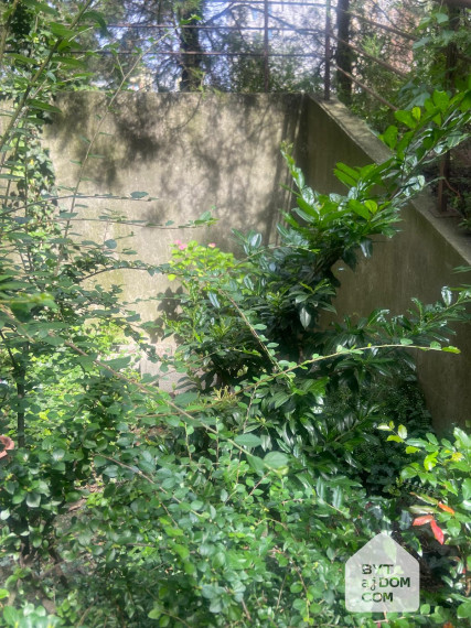 Nebytový priestor vhodný na bývanie / podnikanie Kramare BA