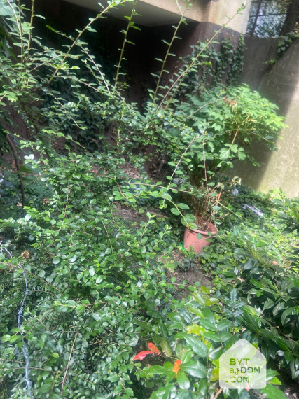 Nebytový priestor vhodný na bývanie / podnikanie Kramare BA